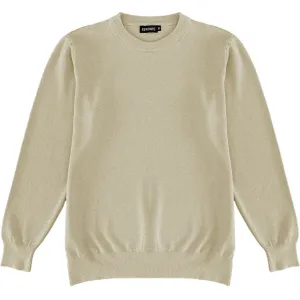 Beige Oatmeal Mens Knit Classic Crew Neck Sweater